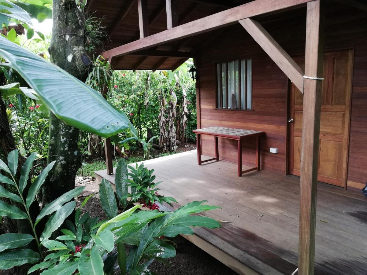 El Valle  La Tarima Del Colibri Ecolodge מראה חיצוני תמונה