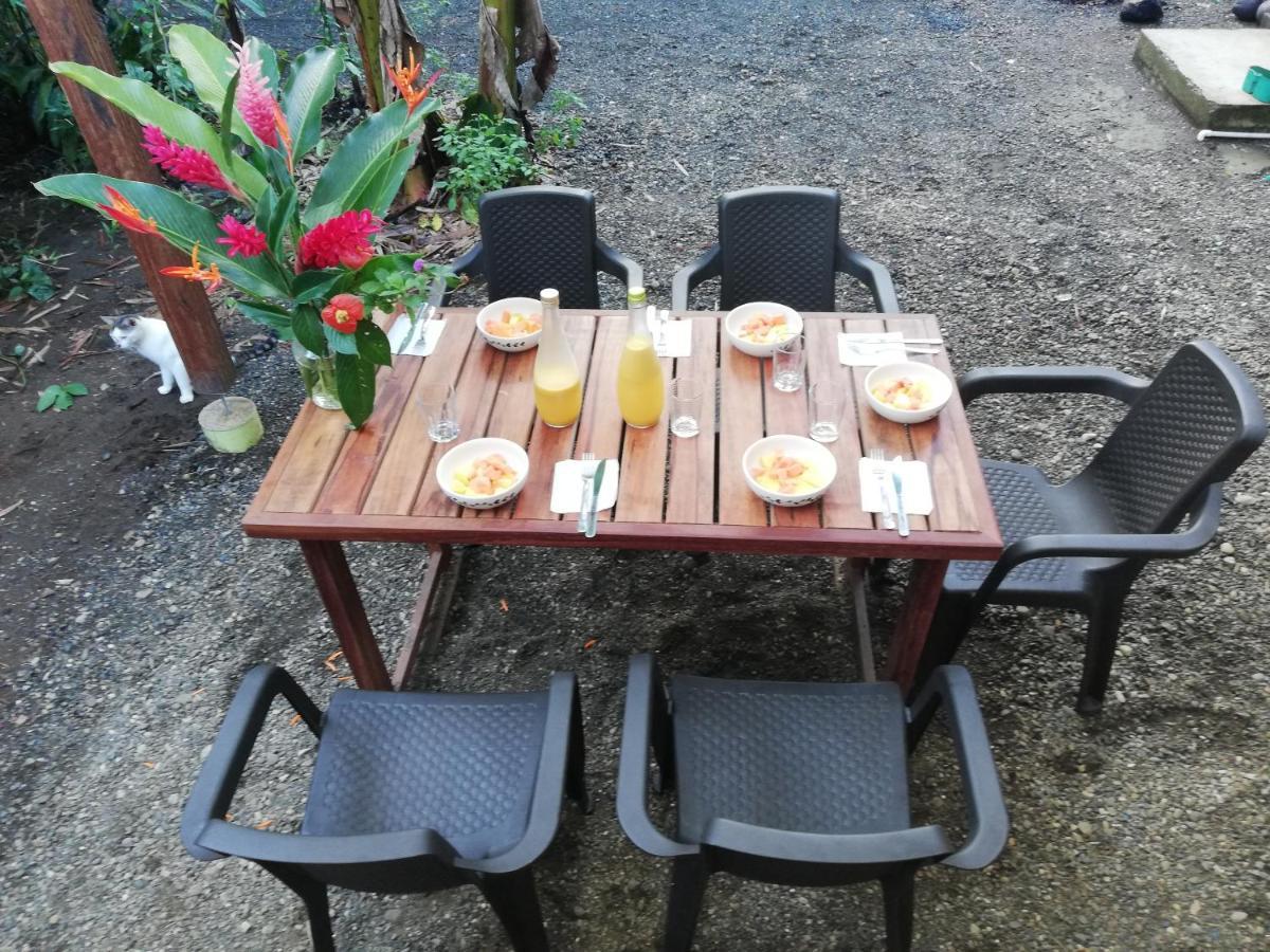 El Valle  La Tarima Del Colibri Ecolodge מראה חיצוני תמונה