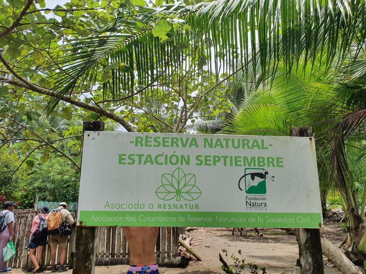 El Valle  La Tarima Del Colibri Ecolodge מראה חיצוני תמונה