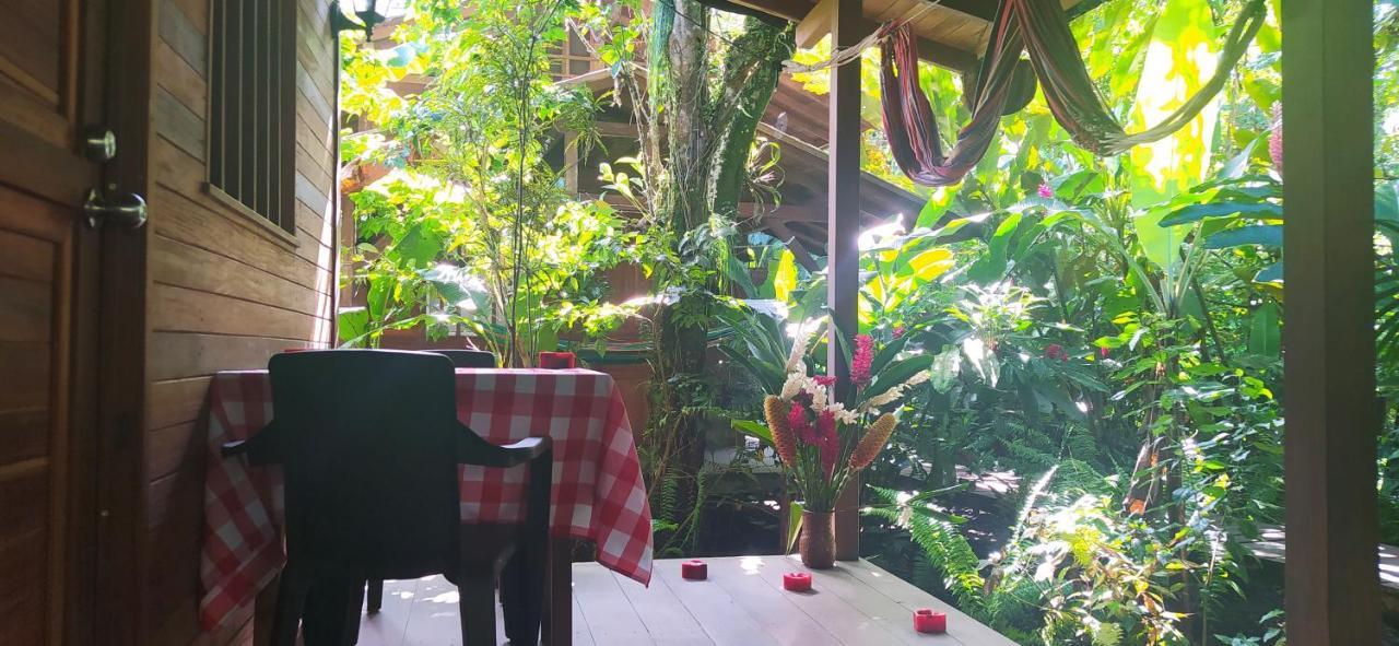 El Valle  La Tarima Del Colibri Ecolodge מראה חיצוני תמונה