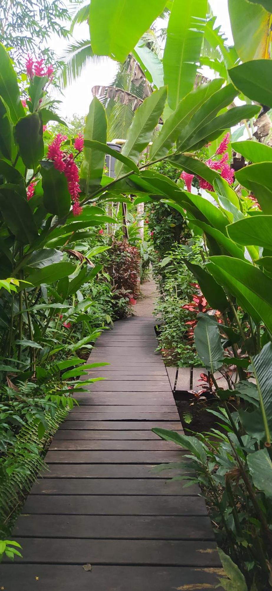 El Valle  La Tarima Del Colibri Ecolodge מראה חיצוני תמונה