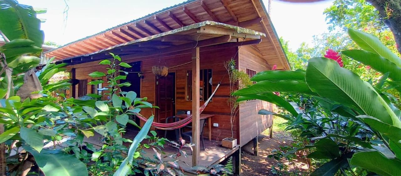 El Valle  La Tarima Del Colibri Ecolodge מראה חיצוני תמונה