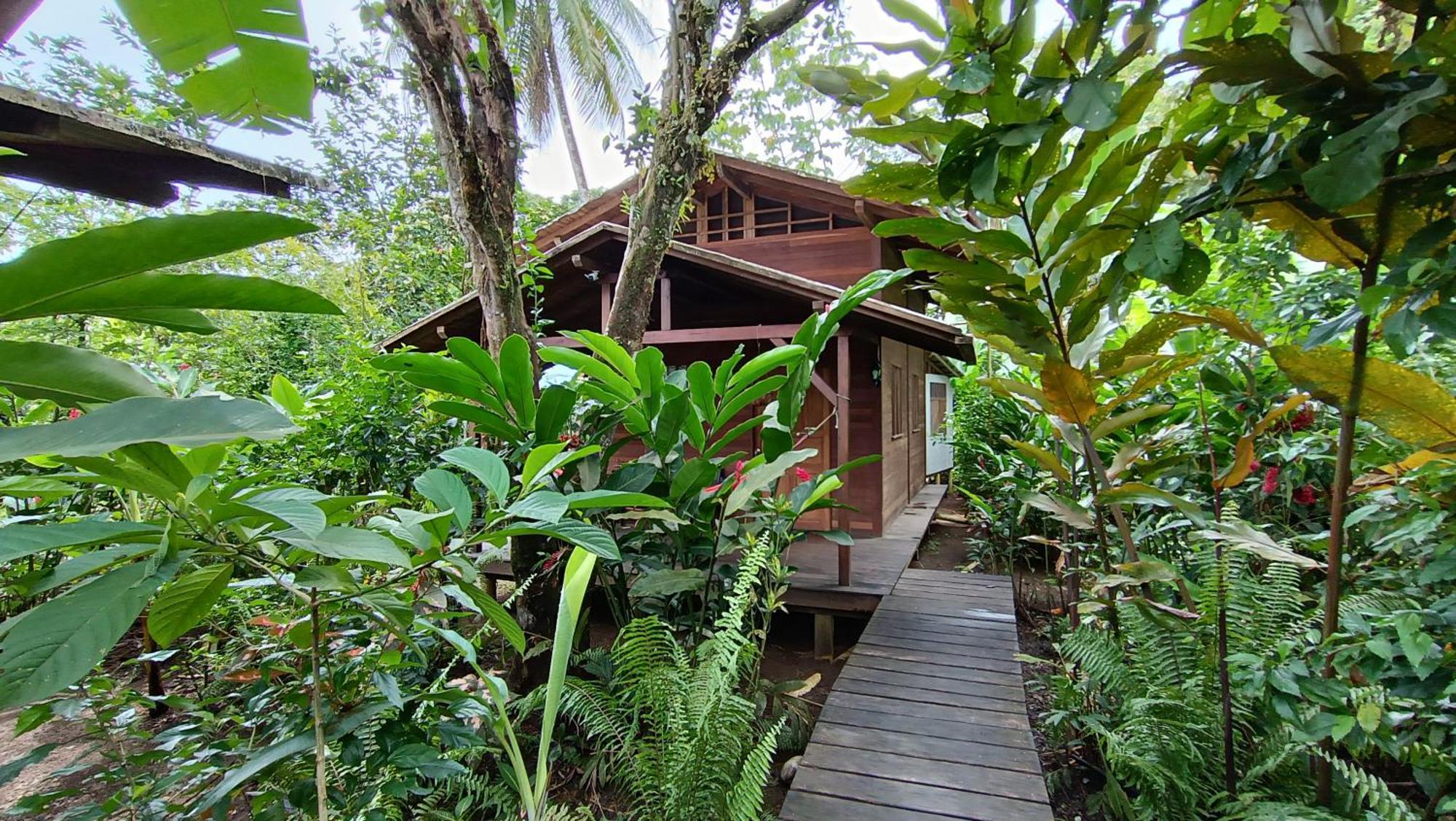 El Valle  La Tarima Del Colibri Ecolodge מראה חיצוני תמונה
