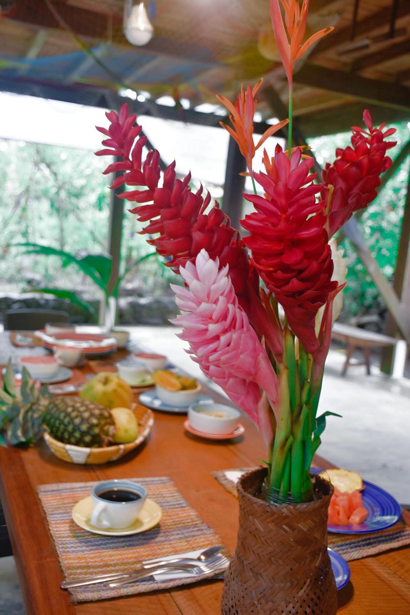 El Valle  La Tarima Del Colibri Ecolodge מראה חיצוני תמונה